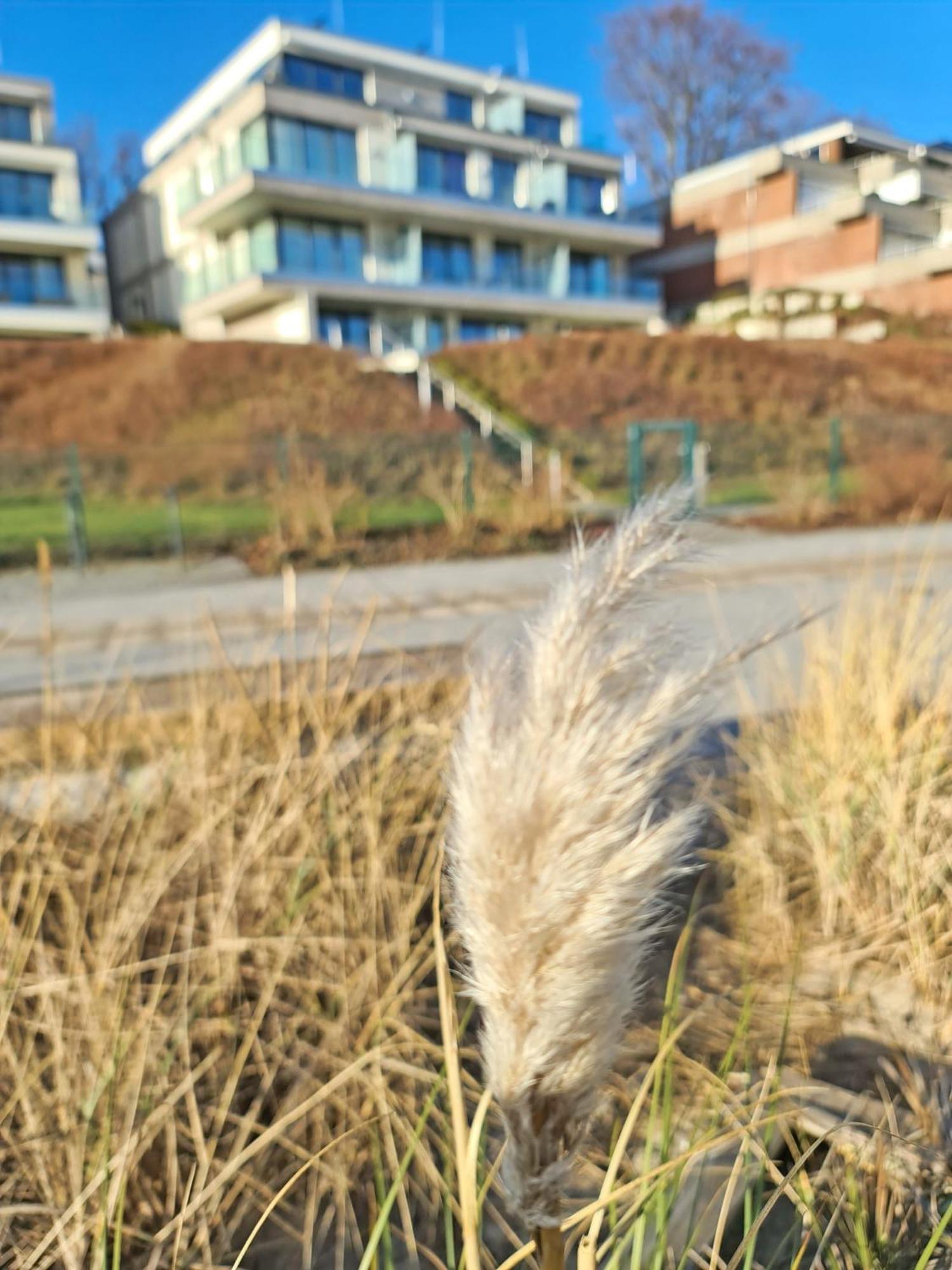 Apartmán Am Hohen Ufer Whg 5 Grömitz Exteriér fotografie